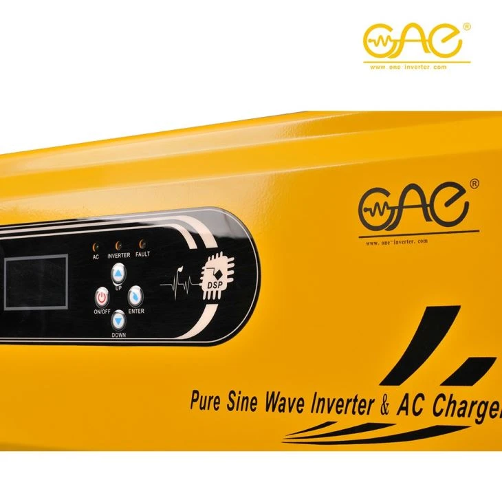 Pure Sine Wave Inverter 2000W For 12V/24V